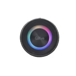 QILIVE Enceinte Portable Q1703 - Noire -TechFutur B2CD 1283