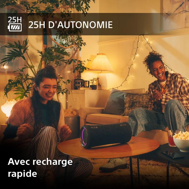 SONY Enceinte Portable XG 300 XTREM - Grise 6 SONY Enceinte Portable XG 300 XTREM - Grise – Image 4