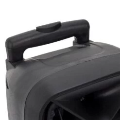 Paris Prix Enceinte Sans Fil & 2 Micros Karaoké 39cm Noir -TechFutur B2CD 1482