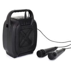 Paris Prix Enceinte Sans Fil Karaoké & 2 Micros 26cm Noir -TechFutur B2CD 1501