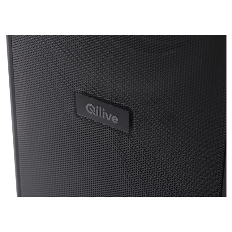 QILIVE Enceinte Portable Q1993 63cm 8 QILIVE Enceinte Portable Q1993 63cm – Image 6