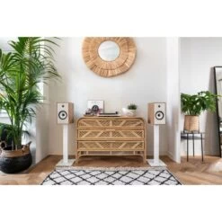 Triangle Enceinte Bluetooth BR03 BT Chene Clair -TechFutur B2CD 2272