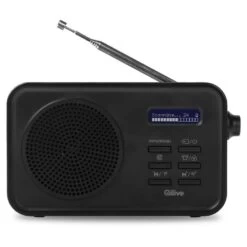 QILIVE Radio DAB+/FM - Noir - Q1117 Réf. 137609
