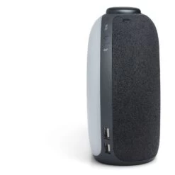 JBL Enceinte Radio Réveil Bluetooth - Horizon2 DAB - Noir -TechFutur B2CD 2573