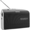 Grundig Radio FM Music 60 Noir 1 Grundig Radio FM Music 60 Noir -TechFutur B2CD 2957